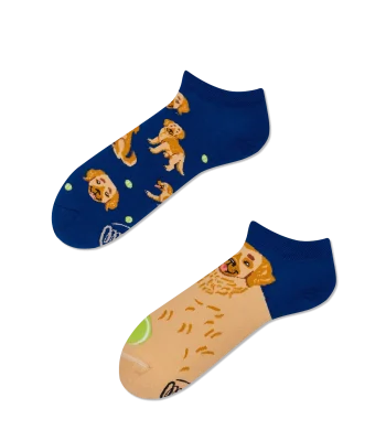 GOLDEN BOY LOW