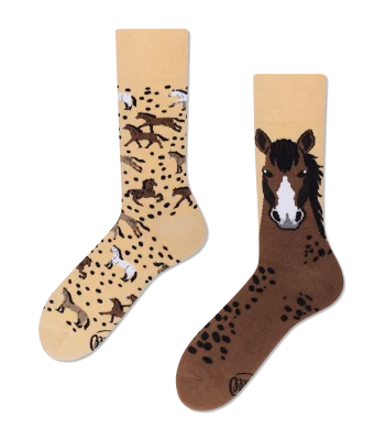 WILD HORSE